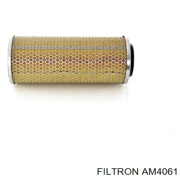 Елемент повітряного фільтра Filtron AM4061 ціна, від 16.47 USD