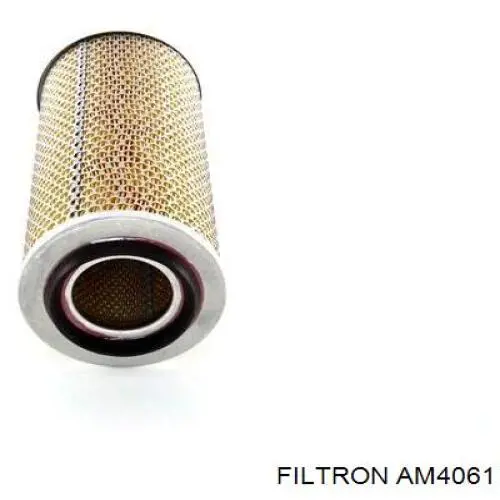 Купити AM4061 Filtron Автомобільний фільтр повітря