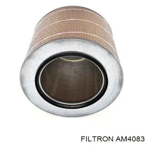 Купити AM4083 Filtron Автомобільний фільтр повітря