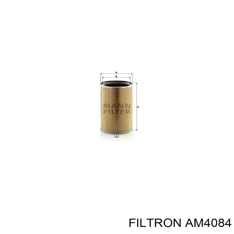 AM4084 Filtron Повітряний фільтр двигуна