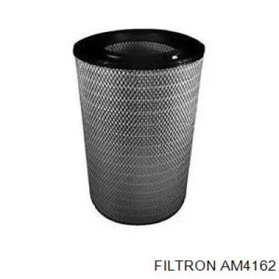 Елемент повітряного фільтра Filtron AM4162 ціна, від 46.71 USD