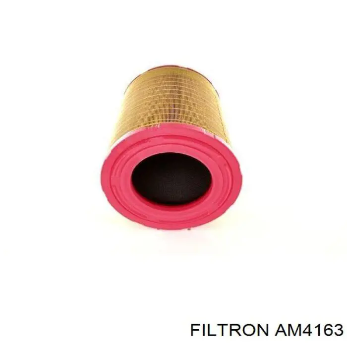 AM4163 Filtron фільтр повітряний