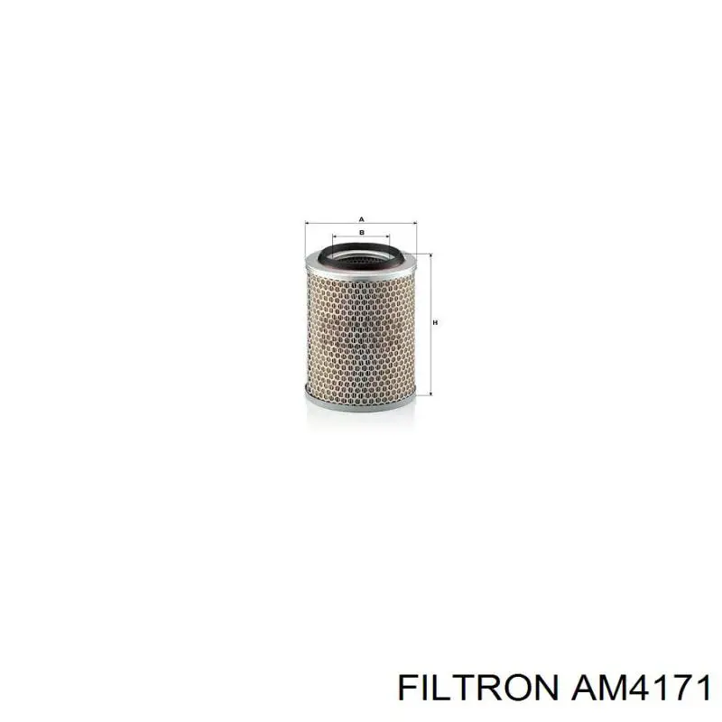 Елемент повітряного фільтра Filtron AM4171 ціна, від 26.99 USD