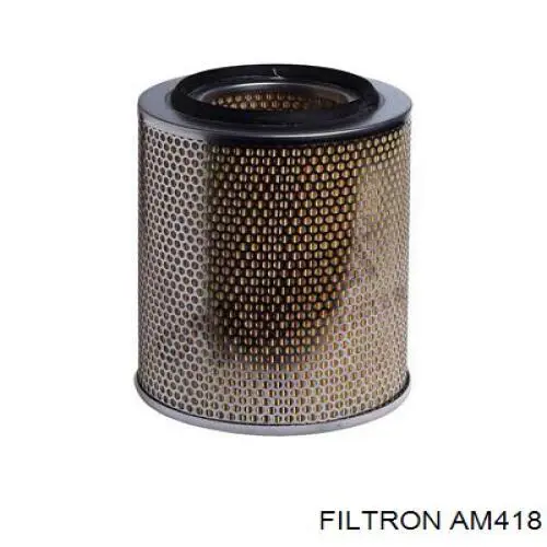 AM418 Filtron фільтр повітряний
