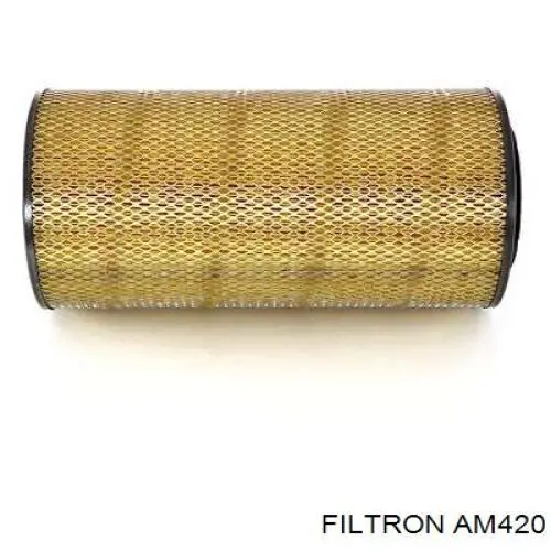 Купити AM420 Filtron Автомобільний фільтр повітря