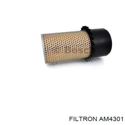 Купити AM4301 Filtron Автомобільний фільтр повітря