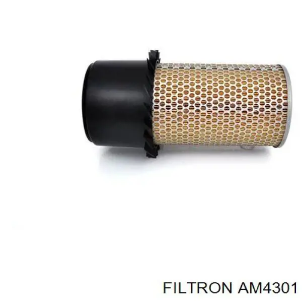 AM4301 Filtron фільтр повітряний