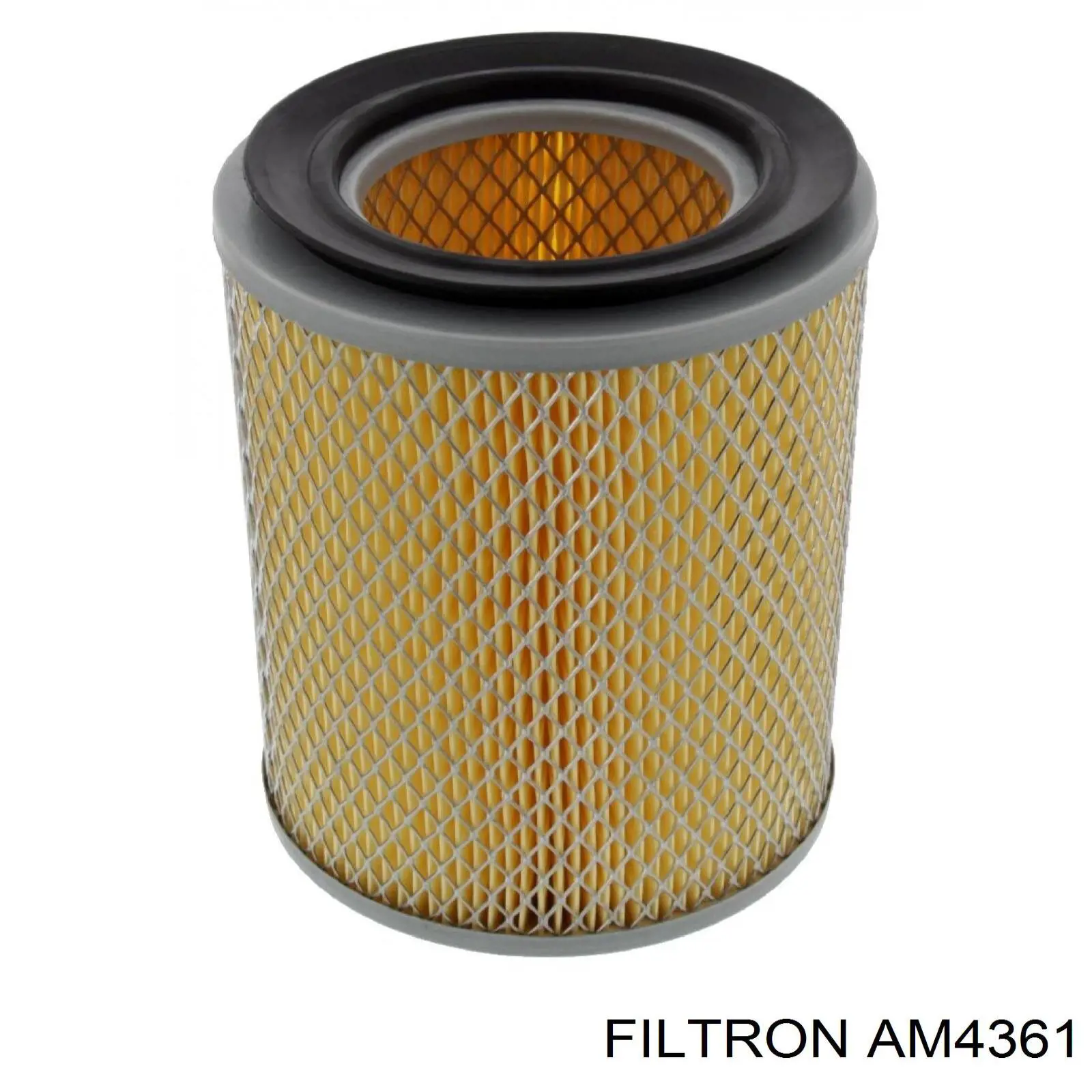 AM4361 Filtron фільтр повітряний