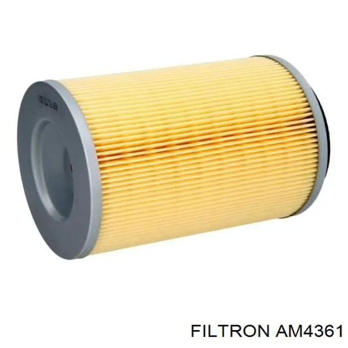 Купити AM4361 Filtron Автомобільний фільтр повітря
