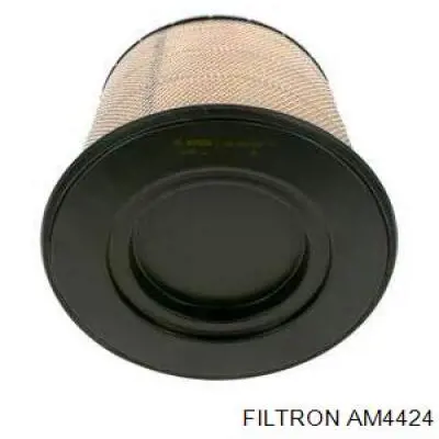 AM4424 Filtron фільтр повітряний