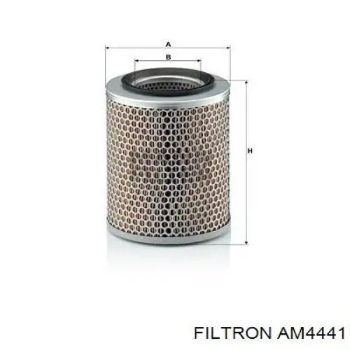 AM4441 Filtron Повітряний фільтр двигуна