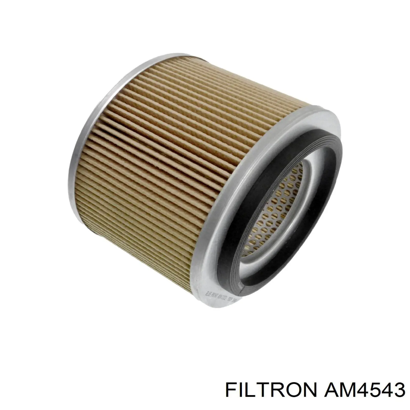 Купити AM4543 Filtron Автомобільний фільтр повітря