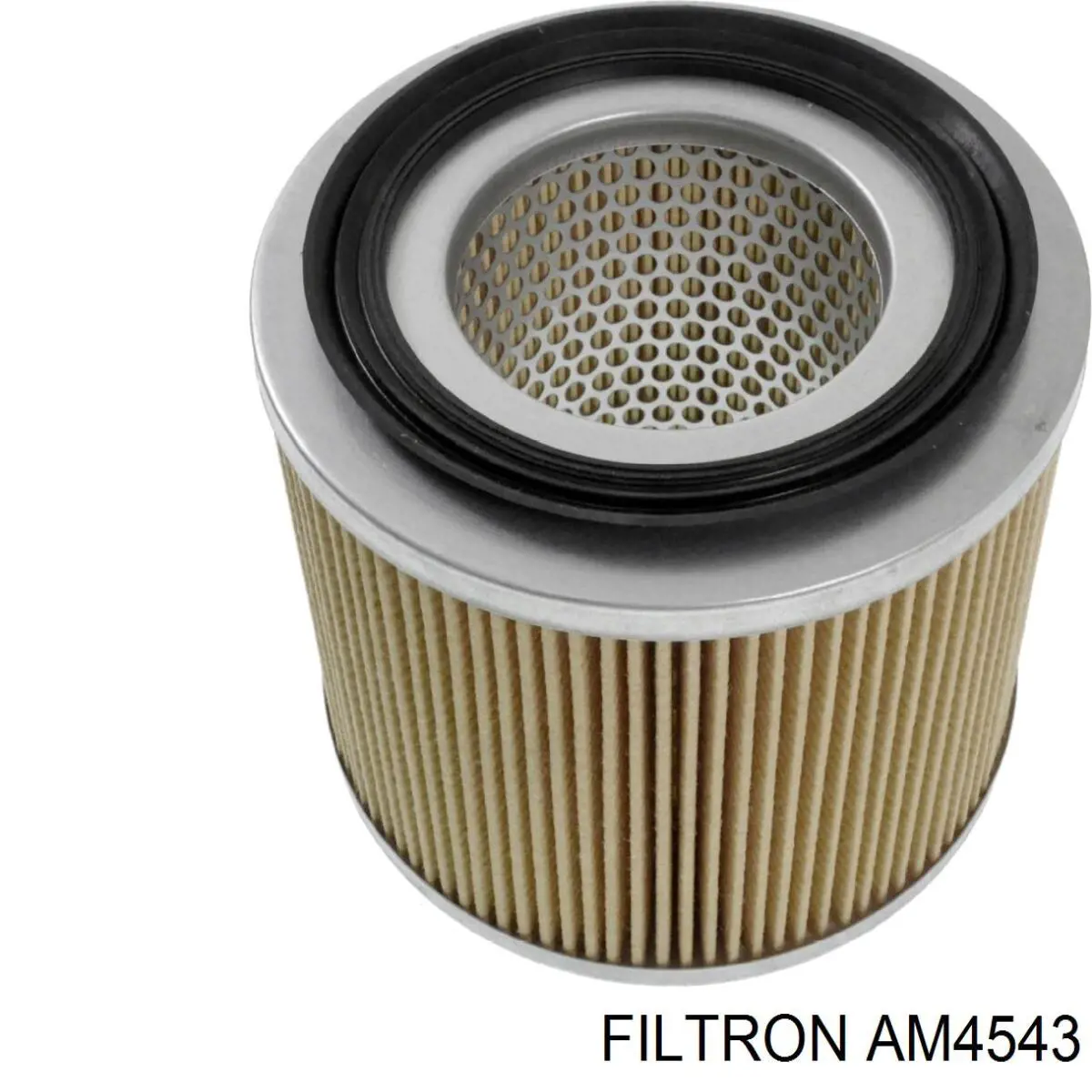 AM4543 Filtron Повітряний фільтр двигуна