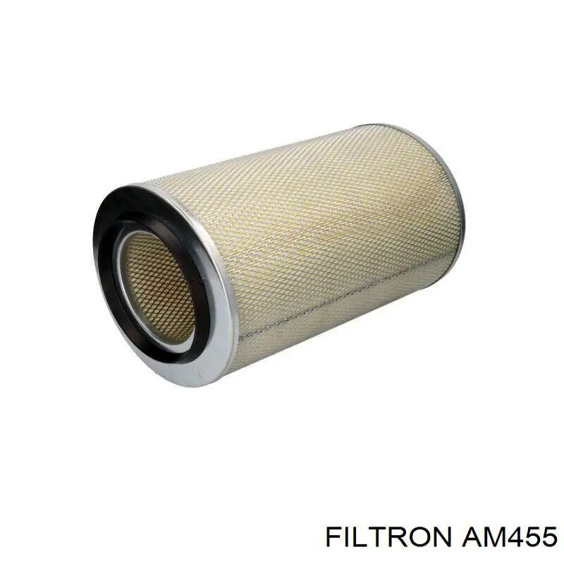 AM455 Filtron Повітряний фільтр двигуна