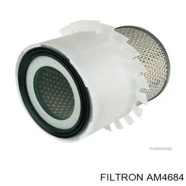 AM4684 Filtron фільтр повітряний