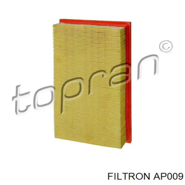 AP009 Filtron Повітряний фільтр двигуна