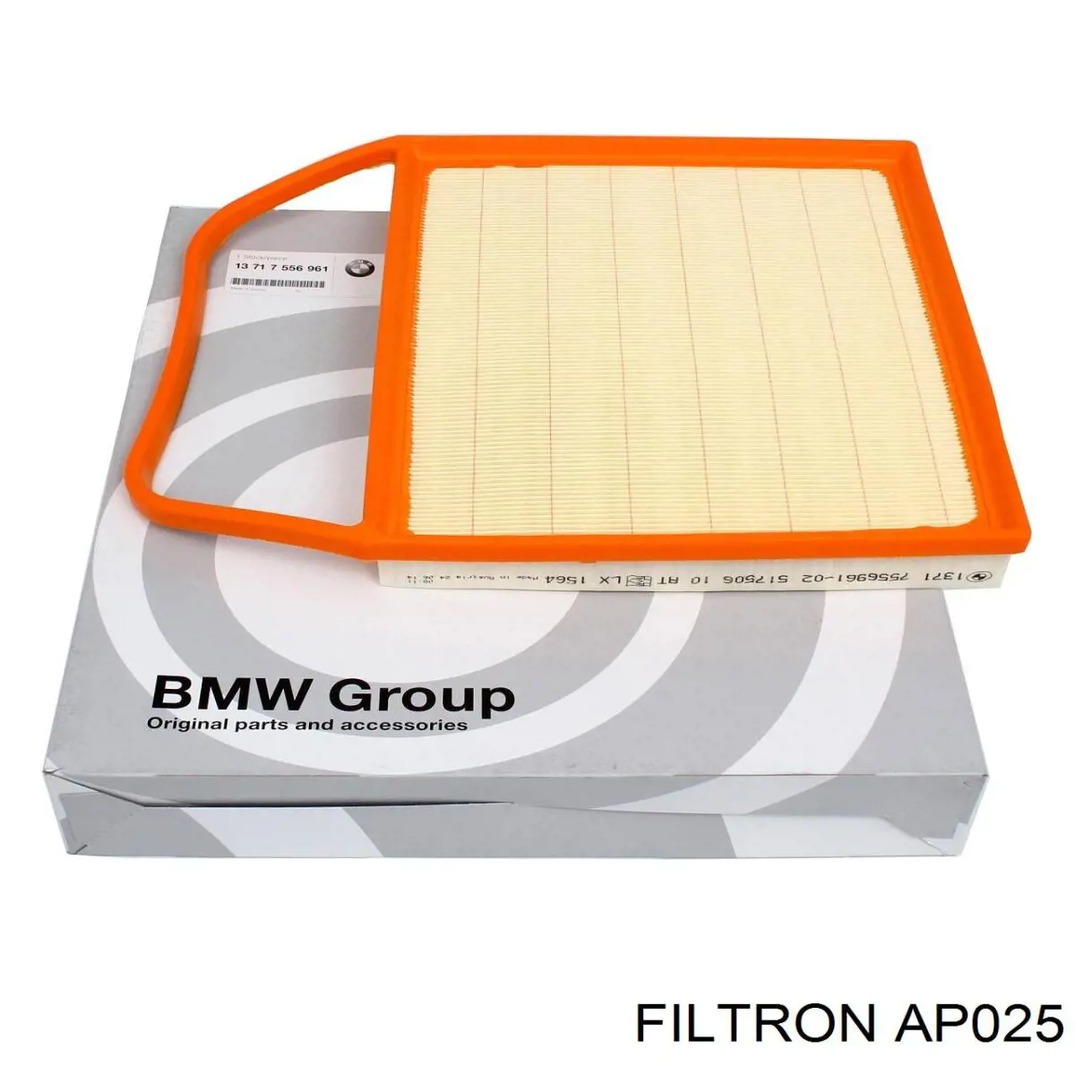 Купити AP025 Filtron Автомобільний фільтр повітря