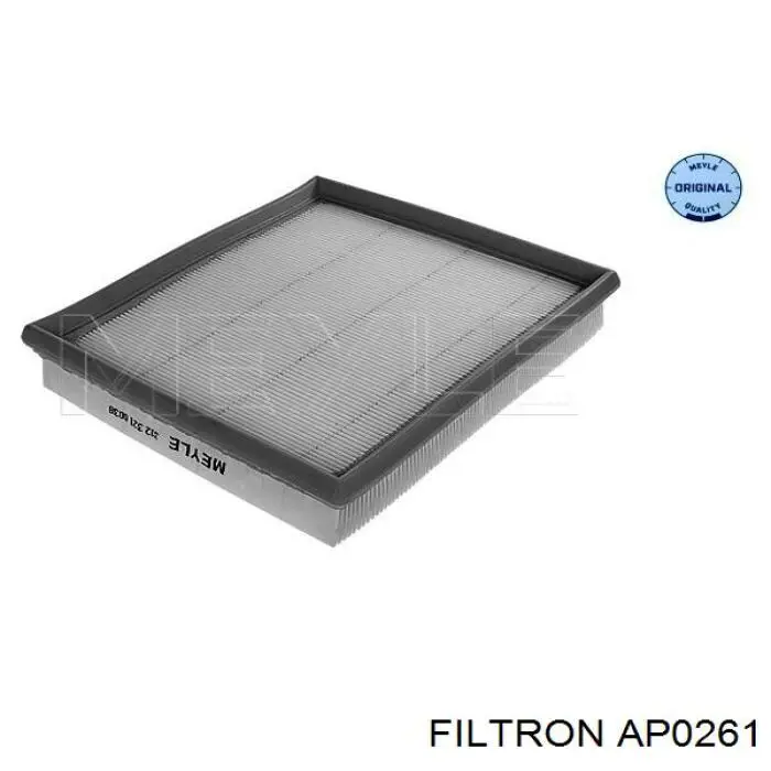 Купити AP0261 Filtron Автомобільний фільтр повітря