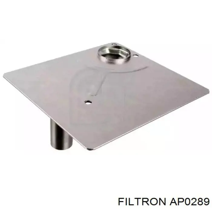 AP0289 Filtron Повітряний фільтр двигуна