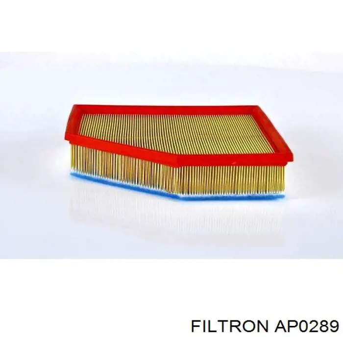 Елемент повітряного фільтра Filtron AP0289 ціна, від 18.45 USD