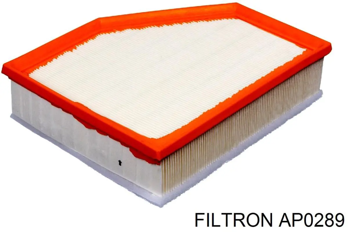 AP0289 Filtron Повітряний фільтр двигуна