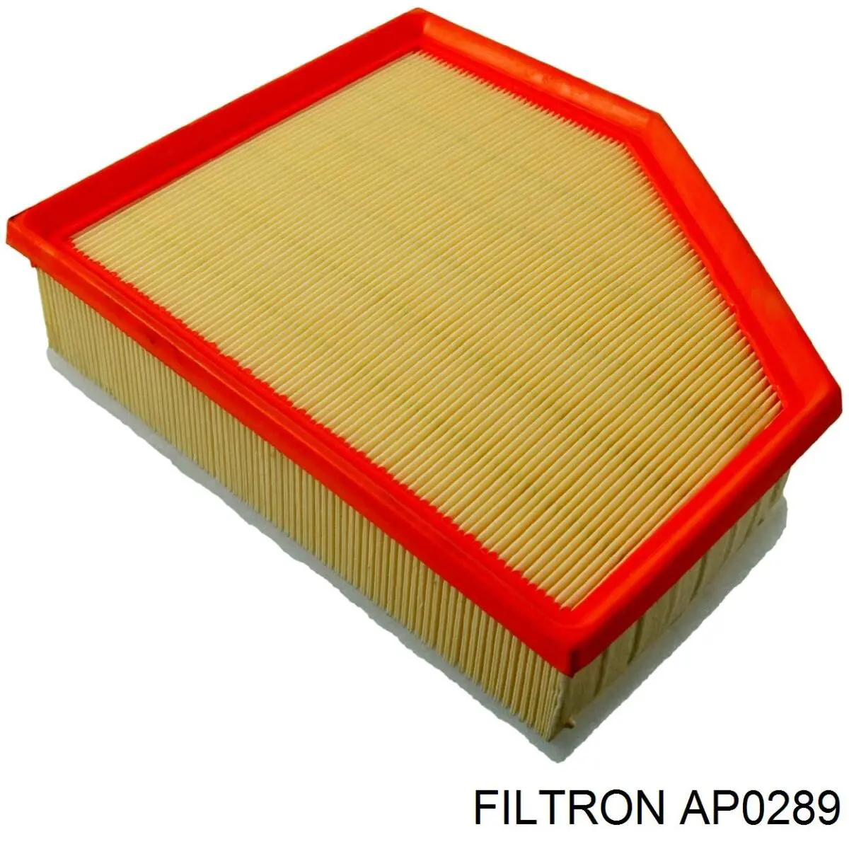 Елемент повітряного фільтра Filtron AP0289 ціна, від 18.45 USD