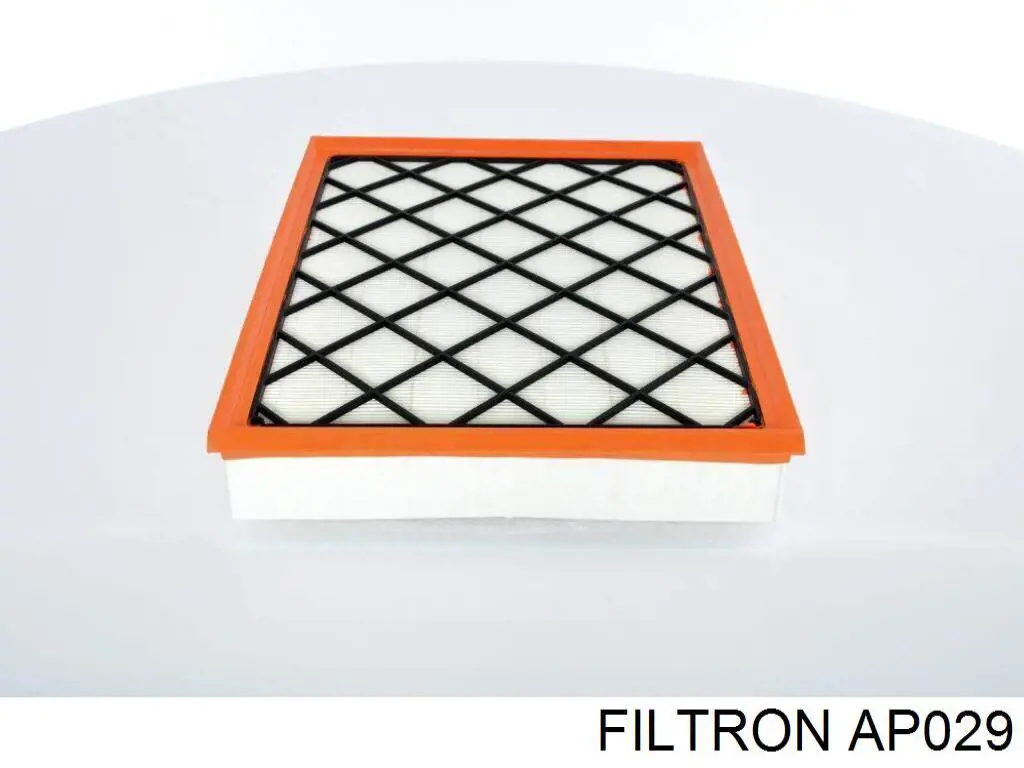 AP029 Filtron фільтр повітряний