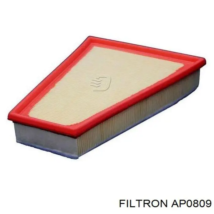 AP0809 Filtron фільтр повітряний