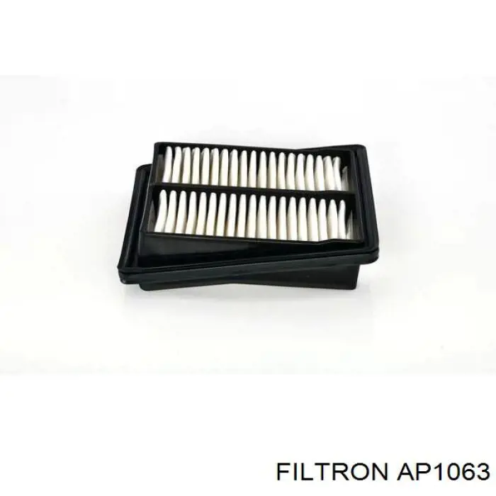 AP1063 Filtron Повітряний фільтр двигуна