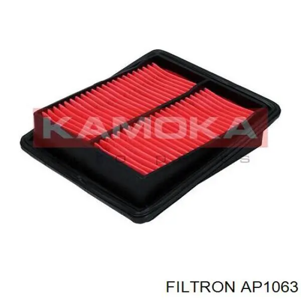 AP1063 Filtron Повітряний фільтр двигуна