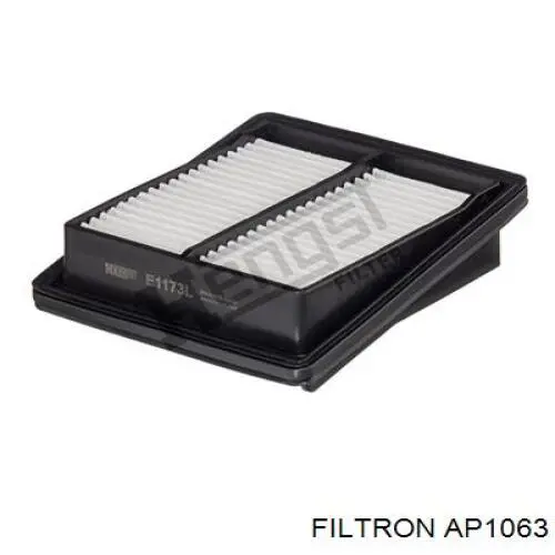 Купити AP1063 Filtron Автомобільний фільтр повітря