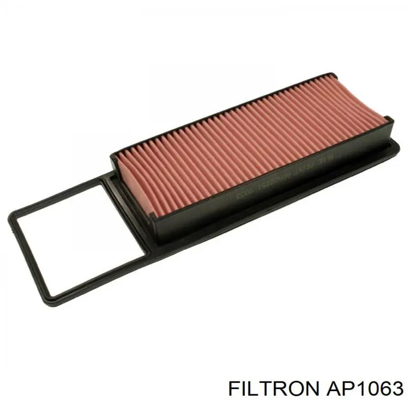 Фільтр повітряний Filtron AP1063