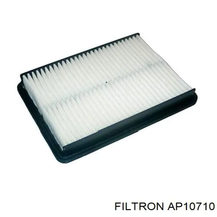 AP10710 Filtron Повітряний фільтр двигуна