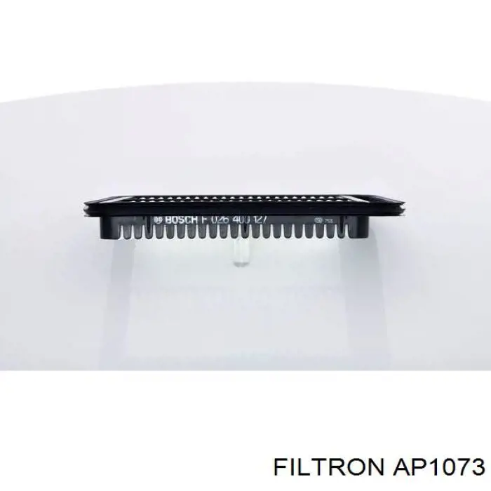 AP1073 Filtron Повітряний фільтр двигуна
