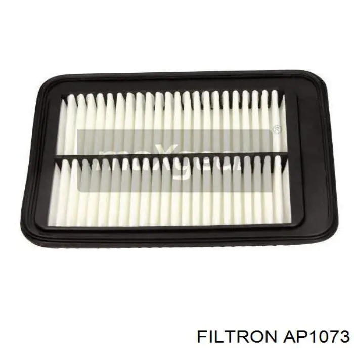 Елемент повітряного фільтра Filtron AP1073 ціна, від 5.09 USD
