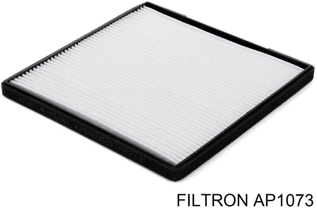Фільтр повітряний Filtron AP1073