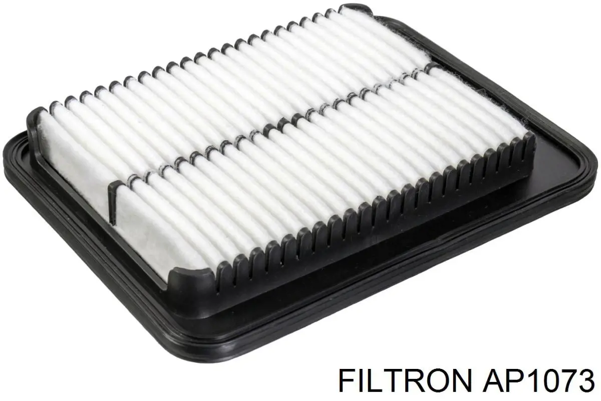 Купити AP1073 Filtron Автомобільний фільтр повітря