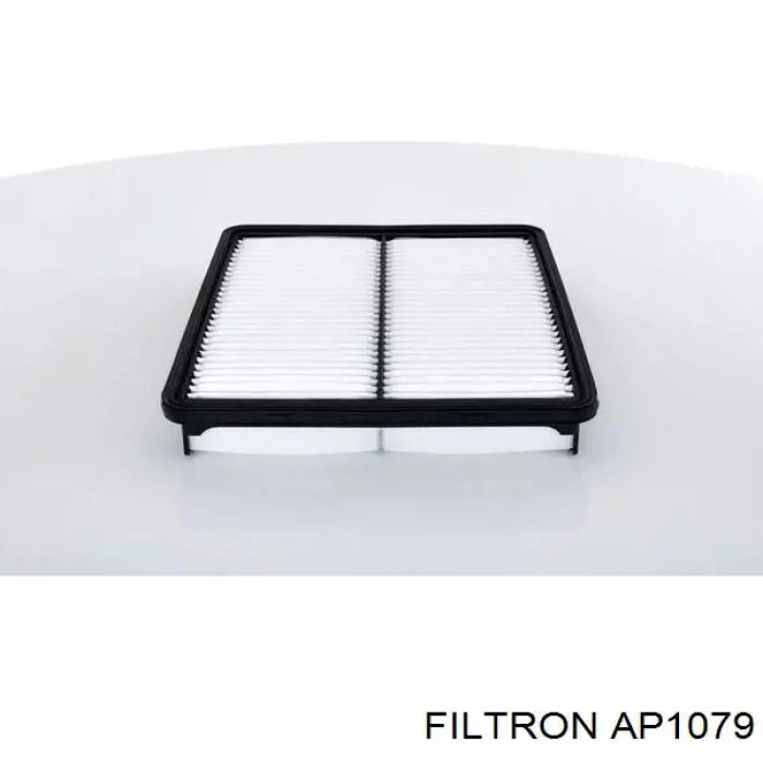 Елемент повітряного фільтра Filtron AP1079 ціна, від 6.61 USD