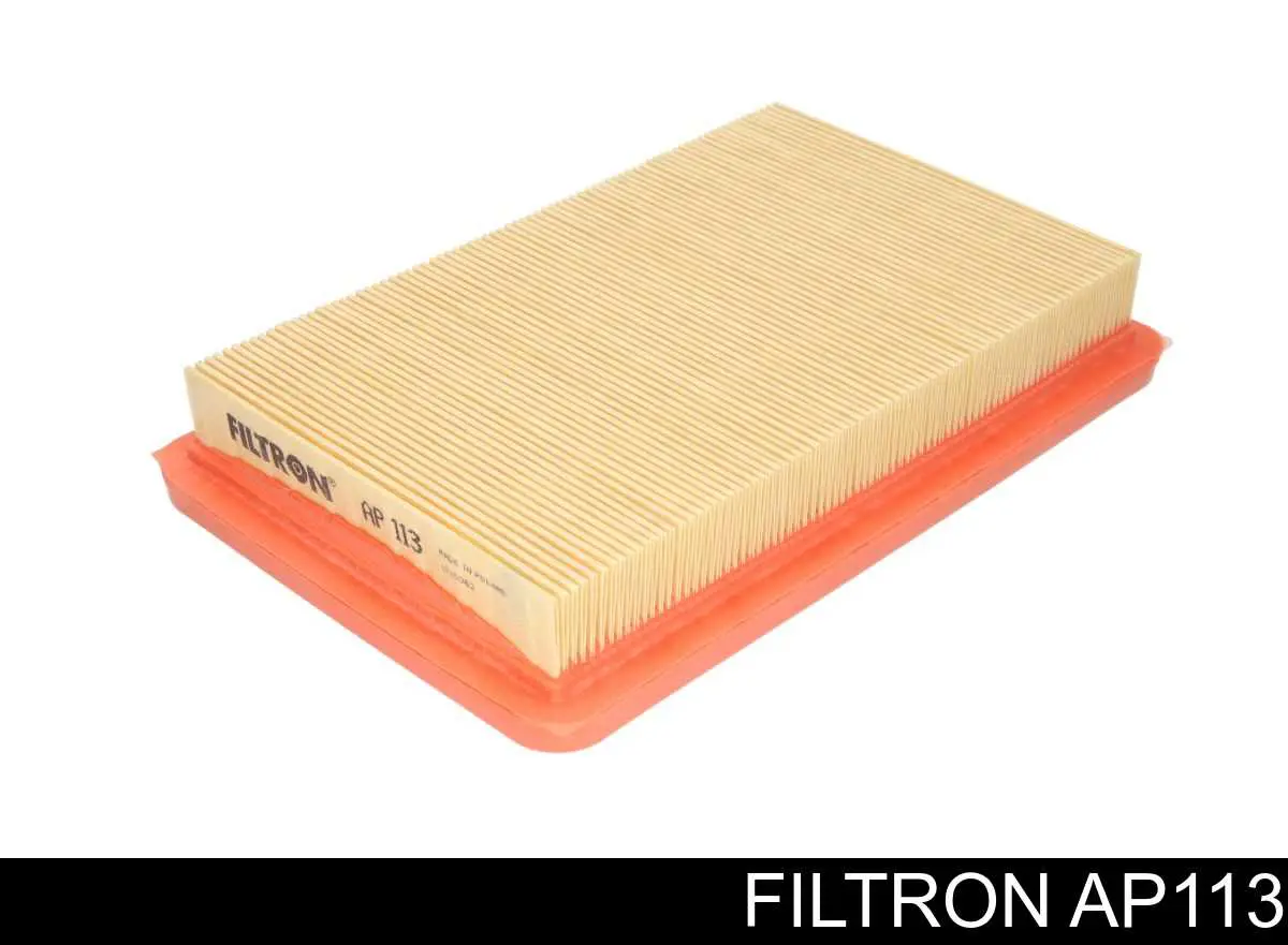 Купити AP113 Filtron Автомобільний фільтр повітря