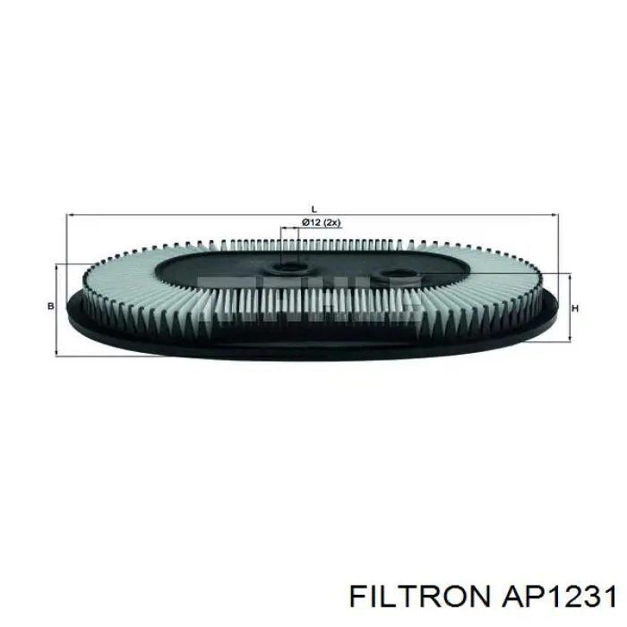 AP1231 Filtron Повітряний фільтр двигуна