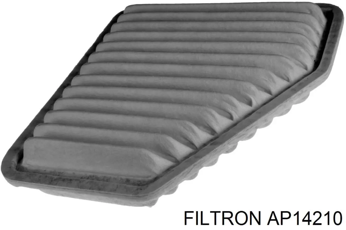 Купити AP14210 Filtron Автомобільний фільтр повітря