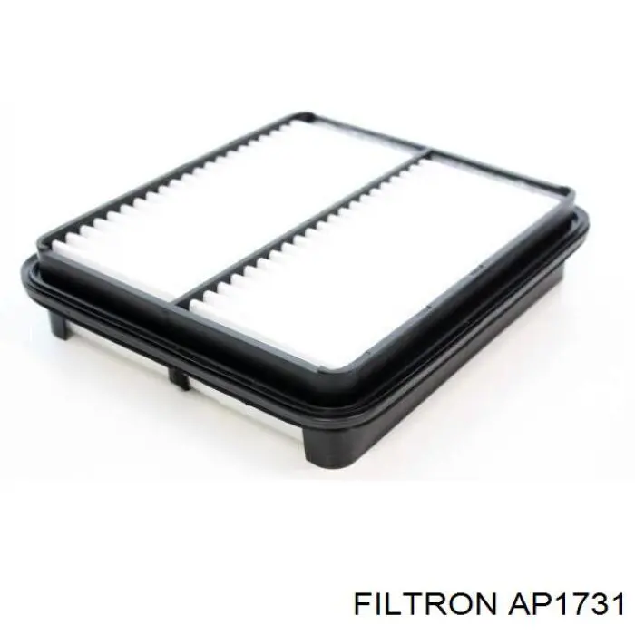 Фільтр повітряний Filtron AP1731