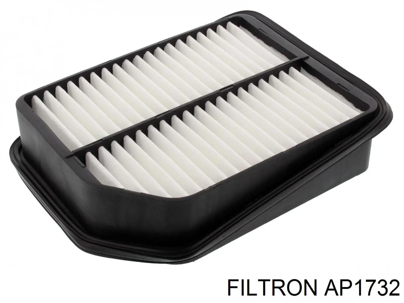 AP1732 Filtron Повітряний фільтр двигуна