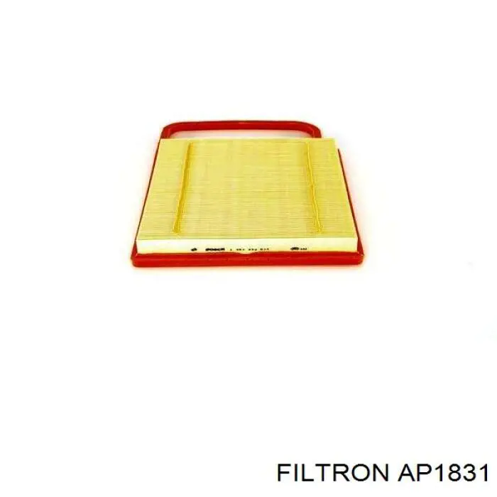 AP1831 Filtron фільтр повітряний