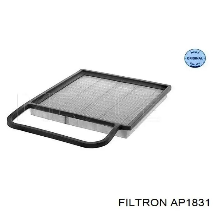 Купити AP1831 Filtron Автомобільний фільтр повітря