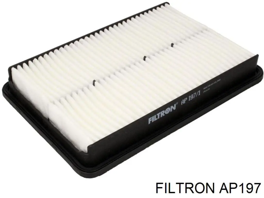 AP197 Filtron Повітряний фільтр двигуна