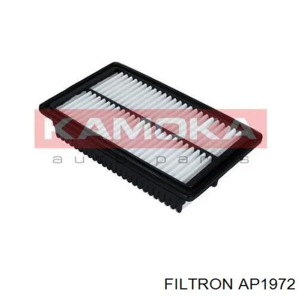 AP1972 Filtron фільтр повітряний
