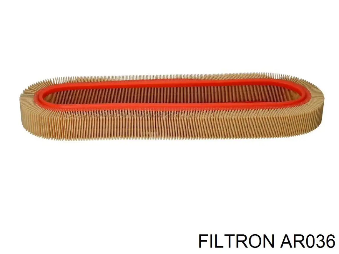 AR036 Filtron фільтр повітряний