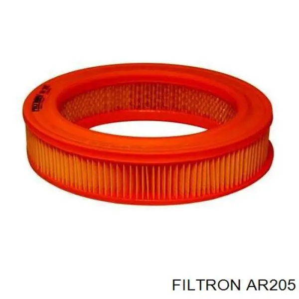 Купити AR205 Filtron Автомобільний фільтр повітря