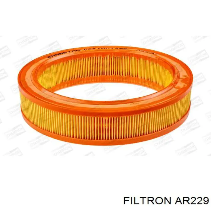 AR229 Filtron фільтр повітряний